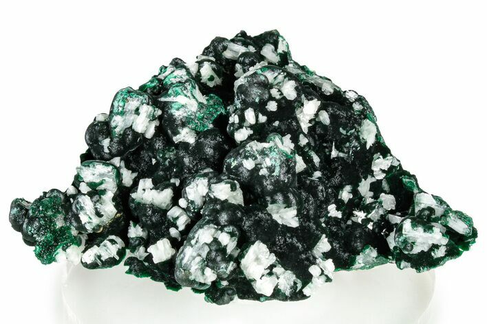 White Cerussite Crystals on Botryoidal Malachite - Congo #326571